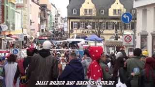 Altweiber im Käfig 2014 Bad Kreuznach bachuskirnde [upl. by Kcaj952]