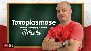 Ciclo da Toxoplasmose I Parasitologia [upl. by Oileduab]