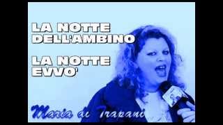 Maria di Trapani canta quotLa notte volaquot  La nuova versione 2014 [upl. by Moncear]