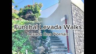 Levada Walks in Funchal Levada Dos Piornais [upl. by Droffig]