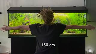 Mein 375 Liter Gesellschaftsaquarium [upl. by Tobi]