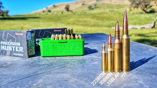 338 Lapua Looks Tiny Next To 375 CheyTac Desert Tech Rifles Long Range Shooting [upl. by Aon188]