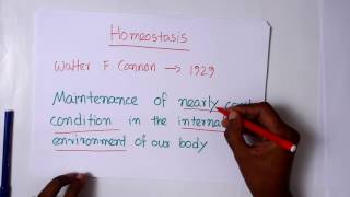 Cellular Physiology 1  Homeostasis Part1 [upl. by Nabala234]