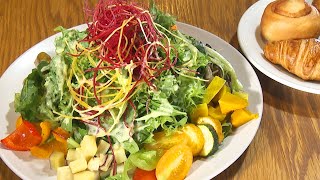 【静岡市葵区】BLUE BOOKS cafe SHIZUOKA【とびっきり食堂】 [upl. by Philbert]