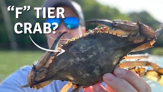 I Tried 20 Different Crabs And Ranked Them All [upl. by Adiuqal]