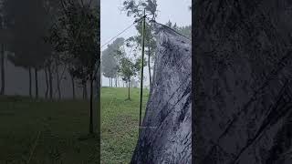 Suddenly rainstorm while setup tent Solo camping in rain sounds ASMR campinginheavyrain shorts [upl. by Sirrep794]