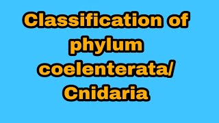 Classification of phylum coelenterataCnidaria BsBsc 1st year [upl. by Shishko]