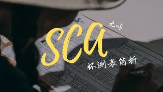 【无屿】SCA杯测表简析 [upl. by Aela]