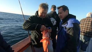 Mirage Sportfishing BampB Charter December 12 2021 Best rockcod fishing ever [upl. by Winsor]