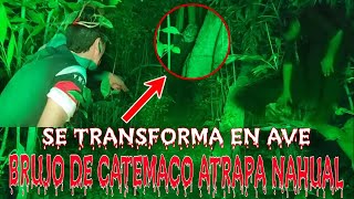 Brujo de Catemaco atrapa Nahual Se transforma en Ave [upl. by Ahtabat]