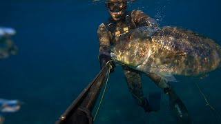 PECHE SOUS MARINE GROS DENTIS CORSE [upl. by Seroled]