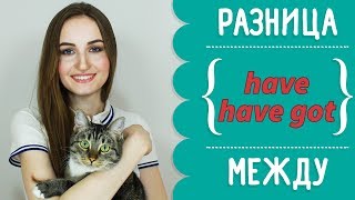 Разница между HAVE и HAVE GOT  English Spot [upl. by Lehcar]