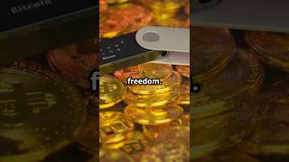 Custodial vs noncustodial Bitcoin Wallets a Quick Guide bitcoin [upl. by Jenilee]