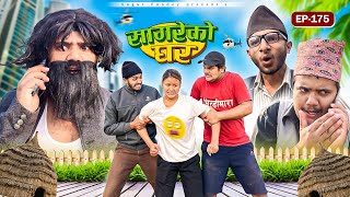 सागरेको घर “Sagare Ko Ghar”Episode 175॥New nepali Comedy Serial॥By Sagar pandey॥6 december 2024॥ [upl. by Vidal]