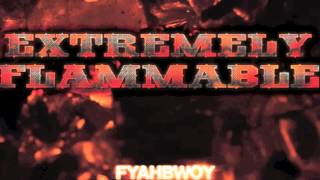 Fyahbwoy  Reggae Vybz  Extremely Flammable  2012 [upl. by Sahpec389]