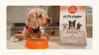 Canidae All Life Stages  Great Nutrition For MultiDog Families [upl. by Jecon]