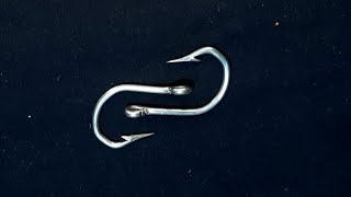 Rigs how to tie fishing hooks easily and strongly [upl. by Naivaj]