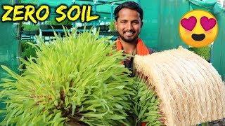 बिना मिट्टी  Organic Farming  90 पानी की बचत  Hydroponics Farming in India  Indian Farmer [upl. by Llenwad]