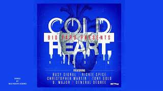 Cold Heart Riddim feat Busy Signal Richie Spice Chris Martin General Degree Sherita D Major [upl. by Selemas]