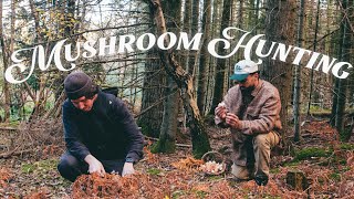 Hunting amp Cooking In The Woods Winter Survival Food 🍄 [upl. by Murton]