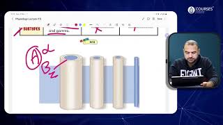 Physiology  Lecture 15  Revision [upl. by Anallese636]