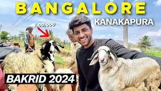 Bakre lene Bangalore se kanakapura aagai 🐑😍 [upl. by Lorita]