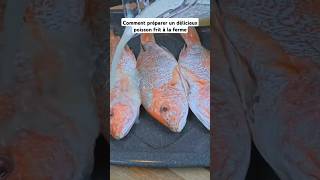 Comment préparer un délicieux poisson frit à la ferme poissonfrit recette food shorts friture [upl. by Aitahs]