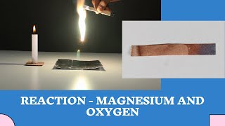 Reaction  Magnesium and Oxygen  ThinkTac  Science Experiment [upl. by Aicilf129]