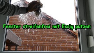 Fenster streifenfrei putzen mit Essig und Zeitungspapier – Fenster reinigen hacks  Tricks  Tipps [upl. by Macomber930]