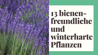 13 Bienenfreundliche und winterharte Pflanzen  So klappts mit der Pflanzenpflege garantiert [upl. by Sylvan]