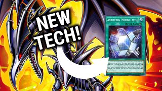 REDEYES DECK RECIPE  2 Card Combo November 2023  YuGiOh TCG [upl. by Hatch]