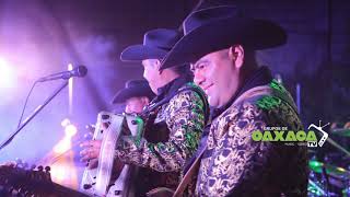 Sangre de Accion Corridos perrones 2021 Live Session [upl. by Kerek]