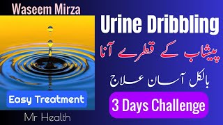 What Is Dribbling Urine Treatment In Males  Females  Hindi Urdu [upl. by Capello]