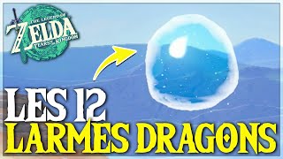 Comment Trouver les 12 LARMES DE DRAGONS dans Zelda Tears of The Kingdom  TUTO ZELDA TOTK [upl. by Geordie103]