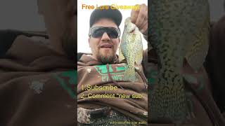 Win a custom Crappie Lure Winner at 20 subs [upl. by Leirvag]