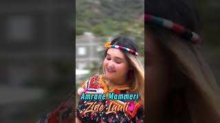 Amrane Mammeri Zine Laali Short [upl. by Anirpas]