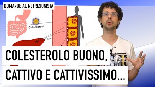 Colesterolo buono cattivo e cattivissimo [upl. by Alvar]