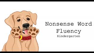 nonsense word fluency 1 minute practice [upl. by Eiliak]