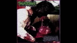 THANATOMORPHOSE Shitstench split GOREGRIND [upl. by Nnylecoj]