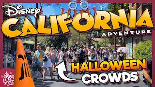 How CROWDED is Disney California Adventure for Halloween 2024 [upl. by Hetty]