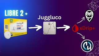 Usando Libre 2 com Juggluco Xdrip e AndroidAPS [upl. by Eenor]