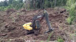 Excavadora Fajeando preparación suelo sur chile pa [upl. by Ahswat]