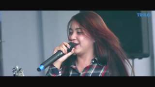 Scimmiaska  Lelah Live 2014 [upl. by Durning]