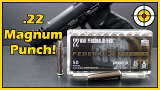 How GOOD Is It NEW Federal Premium PUNCH 22 Magnum Ballistic Gel Test With the WMP amp Barkeep [upl. by Naibaf653]