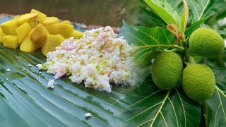 Village Recipe  Authentic breadfruit curryDel Curry recipe [upl. by Aelrac]