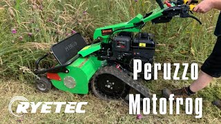 Ryetec Peruzzo Motofrog Pedestrian Flail Mower [upl. by Ainel903]