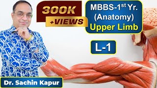 MBBS  First Year  1st Prof  Anatomy  Upper Limb L1  Dr Sachin Kapur  AIIMS [upl. by Novikoff599]