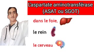 Laspartate aminotransférase ASAT ou SGOT [upl. by Lovering]