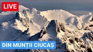 🔴 LIVE DIN VÂRFUL CIUCAȘ  MUNȚII și CABANA  Imagini de Vis [upl. by Annoval185]