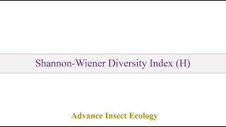 ShannonWiener Diversity Index [upl. by Ariamat]